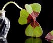 thumb-image-2024-02-29T13:57:45.284Z