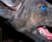 thumb-image-2024-02-29T13:57:45.594Z