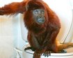 thumb-image-2024-02-29T13:57:46.029Z