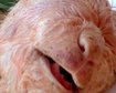 thumb-image-2024-02-29T13:57:46.054Z