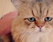 thumb-image-2024-02-29T13:57:46.158Z