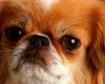 thumb-image-2024-02-29T13:57:46.207Z