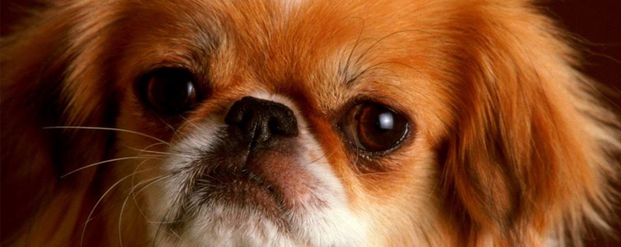 thumb-image-2024-02-29T13:57:46.207Z