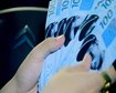thumb-image-2024-02-29T13:57:46.305Z
