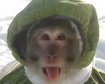 thumb-image-2024-02-29T13:57:47.017Z