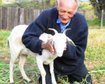 thumb-image-2024-02-29T13:57:47.395Z