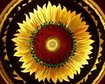 thumb-image-2024-02-29T13:57:47.439Z