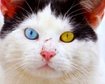 thumb-image-2024-02-29T13:57:47.484Z