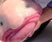thumb-image-2024-02-29T13:57:48.361Z