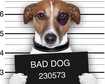 thumb-image-2024-02-29T13:57:48.419Z