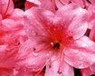 thumb-image-2024-02-29T13:57:48.865Z