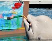 thumb-image-2024-02-29T13:57:49.057Z