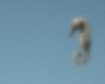 thumb-image-2024-02-29T13:57:49.130Z