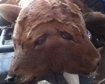 thumb-image-2024-02-29T13:57:49.296Z
