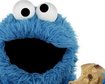 thumb-image-2024-02-29T13:57:49.658Z