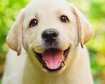 thumb-image-2024-02-29T13:57:49.734Z