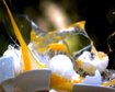 thumb-image-2024-02-29T13:57:49.923Z