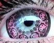 thumb-image-2024-02-29T13:57:50.515Z