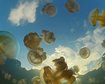 thumb-image-2024-02-29T13:56:59.409Z