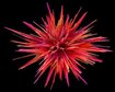thumb-image-2024-02-29T13:56:59.730Z