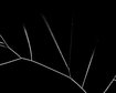 thumb-image-2024-02-29T13:56:59.785Z