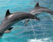 thumb-image-2024-02-29T13:57:02.867Z