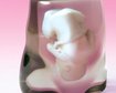 thumb-image-2024-02-29T13:57:04.201Z