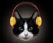 thumb-image-2024-02-29T13:57:04.308Z