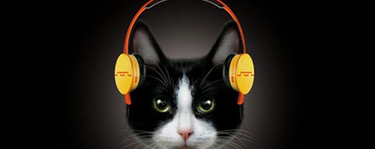 thumb-image-2024-02-29T13:57:04.308Z