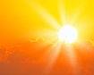 thumb-image-2024-02-29T13:57:04.506Z