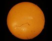 thumb-image-2024-02-29T13:57:04.715Z