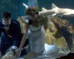 thumb-image-2024-02-29T13:57:04.808Z
