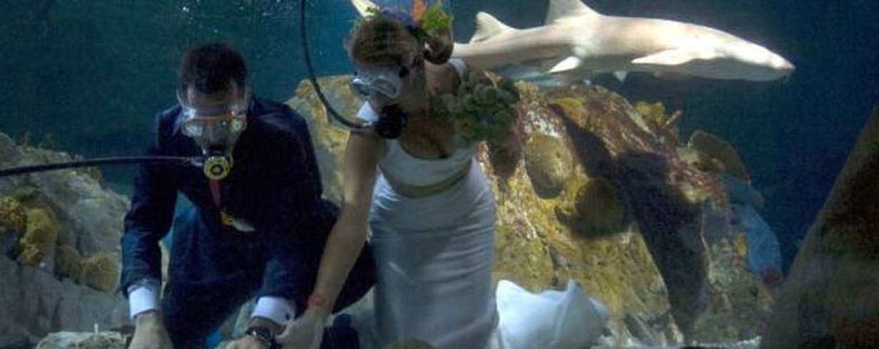 thumb-image-2024-02-29T13:57:04.808Z