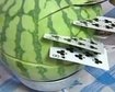 thumb-image-2024-02-29T13:57:05.039Z