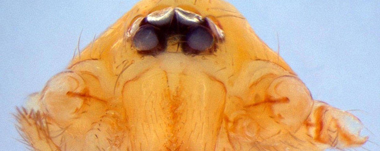 thumb-image-2024-02-29T13:57:05.214Z