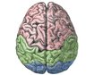thumb-image-2024-02-29T13:57:05.407Z