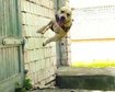 thumb-image-2024-02-29T13:57:05.416Z
