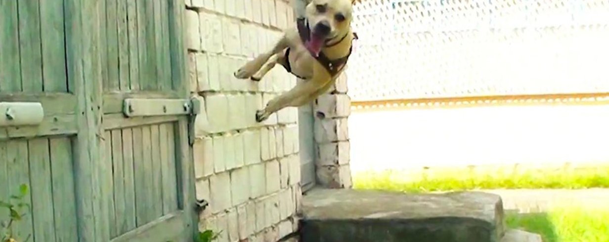 thumb-image-2024-02-29T13:57:05.416Z