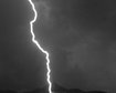 thumb-image-2024-02-29T13:57:05.715Z