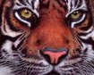 thumb-image-2024-02-29T13:57:05.929Z