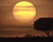 thumb-image-2024-02-29T13:57:08.482Z
