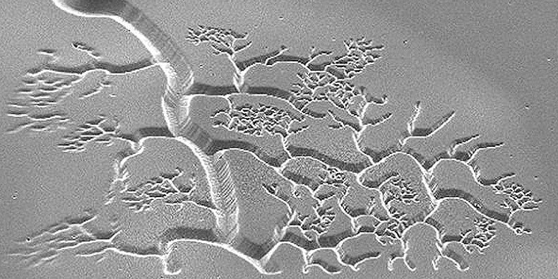 Nanoimpressão 3D cria estruturas biocompatíveis, como vasos sanguíneos