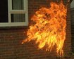 thumb-image-2024-02-29T13:57:09.358Z