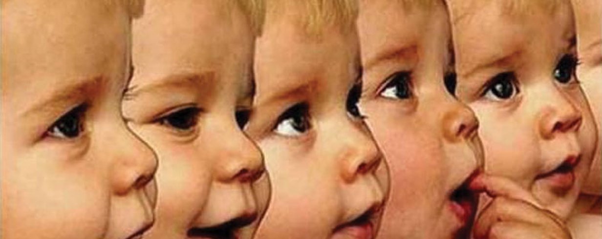 thumb-image-2024-02-29T13:57:15.991Z