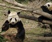 thumb-image-2024-02-29T13:57:16.369Z