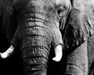 thumb-image-2024-02-29T13:57:16.453Z