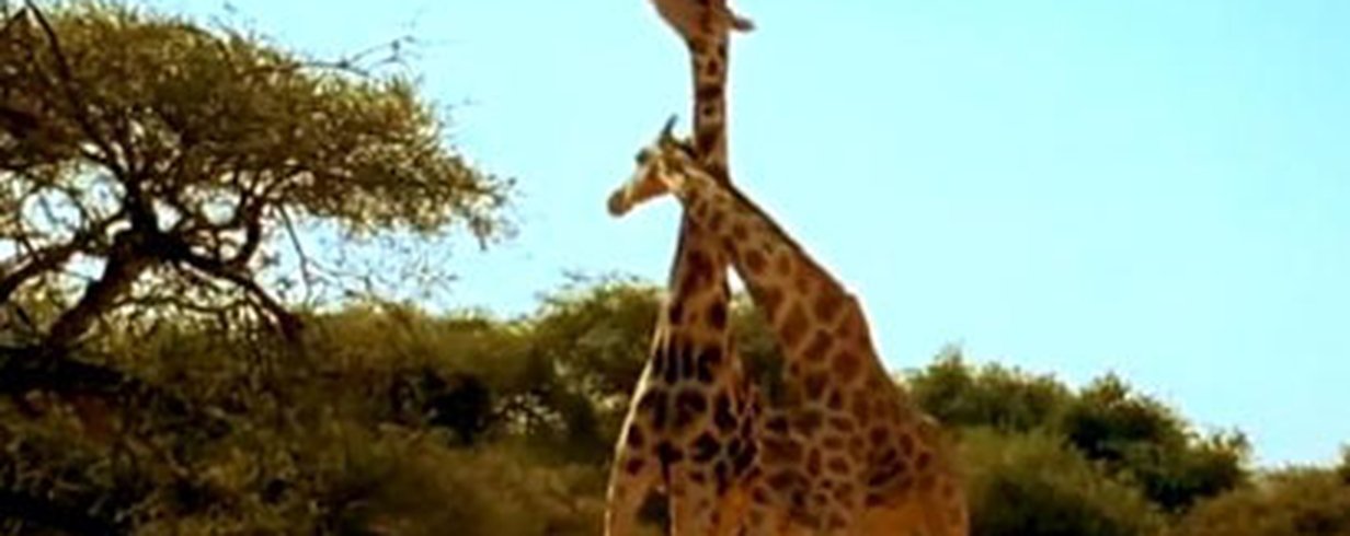 thumb-image-2024-02-29T13:57:16.836Z