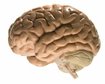 thumb-image-2024-02-29T13:57:17.631Z