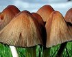 thumb-image-2024-02-29T13:57:18.044Z