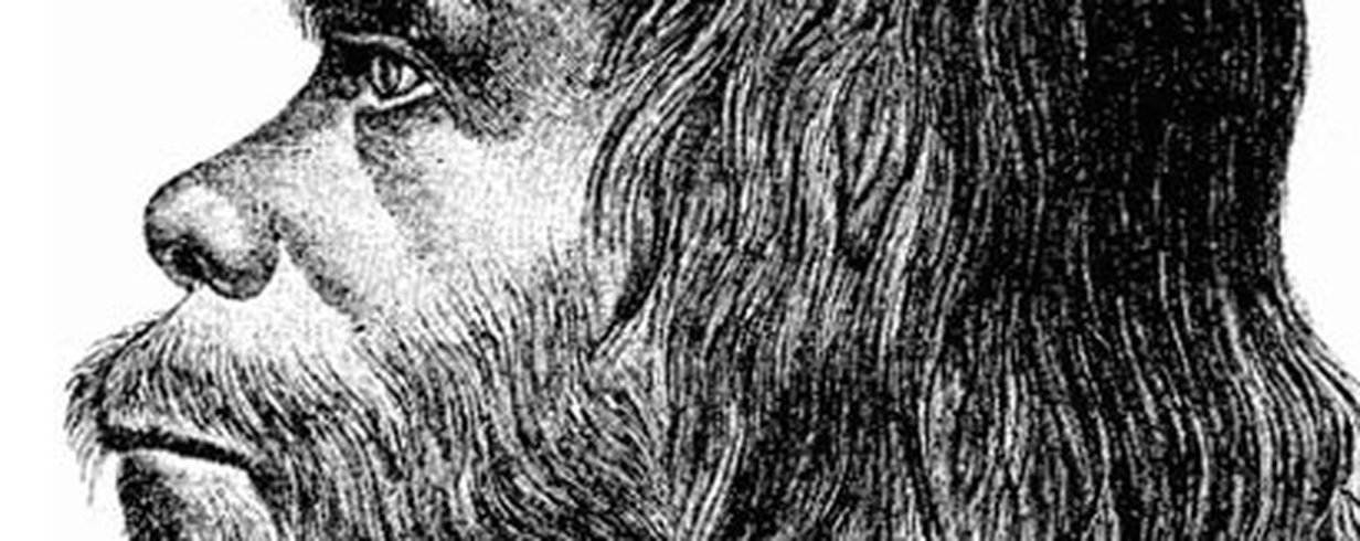 thumb-image-2024-02-29T13:57:18.501Z